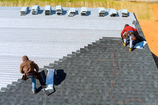 Best Roof Maintenance Services  in Crewe, VA