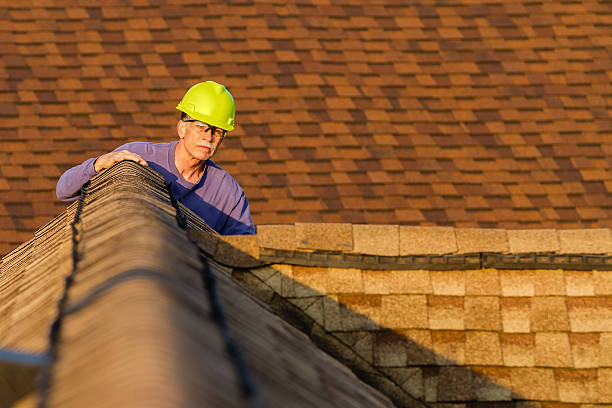 Best Roof Gutter Cleaning  in Crewe, VA